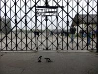 Dachau_DSC06187