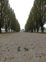 Dachau_DSC06537